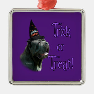 Ornement Carré Argenté Neapolitain Mastiff Trick