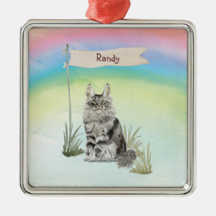 Ornement Carré Argenté Nom Personnalisé Maine Coon Pet