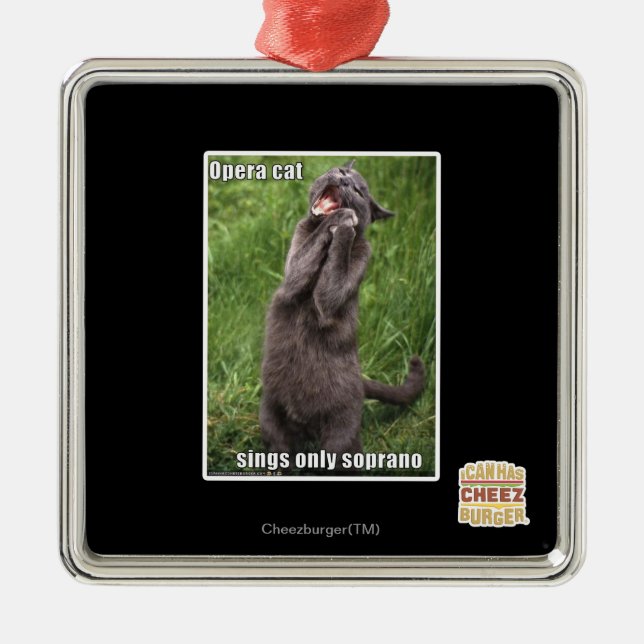 Ornement Carré Argenté Opera Cat (Devant)
