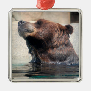 Ornement Carré Argenté Ours grizzli dans l'eau