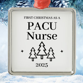 Ornement Carré Argenté Pacu Nurse Christmas