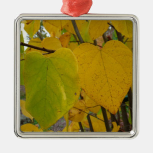 Ornement Carré Argenté Paire de Feuille Redbud Automne photo d'automne