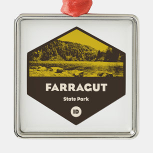 Ornement Carré Argenté Parc d'état de Farragut Idaho