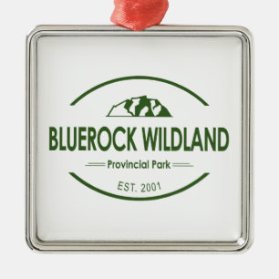 Ornement Carré Argenté Parc provincial Bluerock Wildland