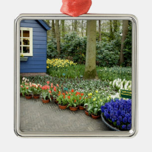 Ornement Carré Argenté Pays-Bas alias Hollande), Lisse. Keukenhof 11
