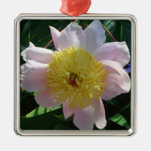 Ornement Carré Argenté Peonies roses et jaunes Belle florale