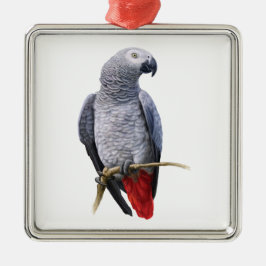 Ornement Carré Argenté Perroquet gris d'Afrique