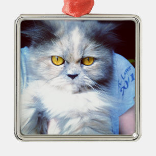 Ornement Carré Argenté persian cat 5