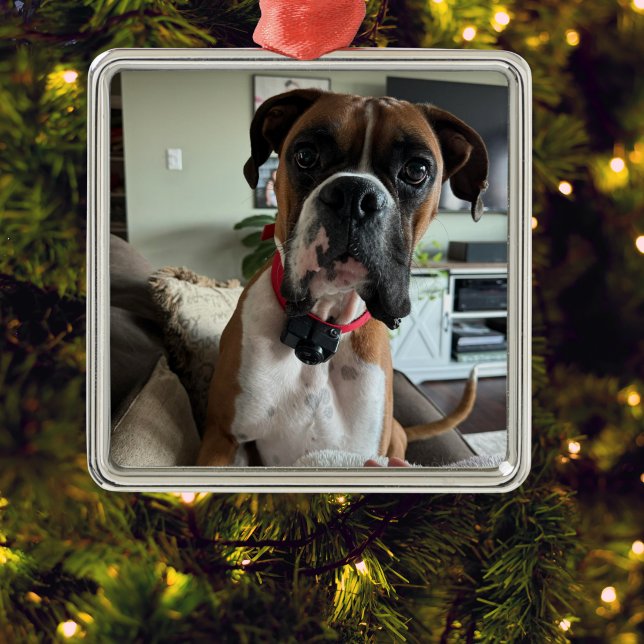 Ornement Carré Argenté PERSONNALISER L'ORNEMENT PHOTO PET Moderne (Elegant and timeless pet keepsake.)