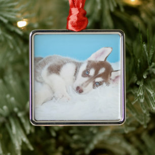 Ornement Carré Argenté Petit Chiot Husky allongé sur une couverture