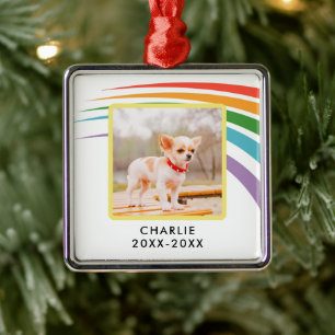 Ornement Carré Argenté Photo commémorative Rainbow Pet