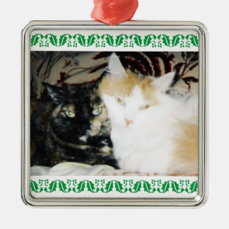 Ornement Carré Argenté Photo confortable Deux chats Green Holly Bordure