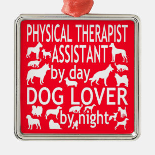 Ornement Carré Argenté Physothérapie Assistant Aime Les Chiens