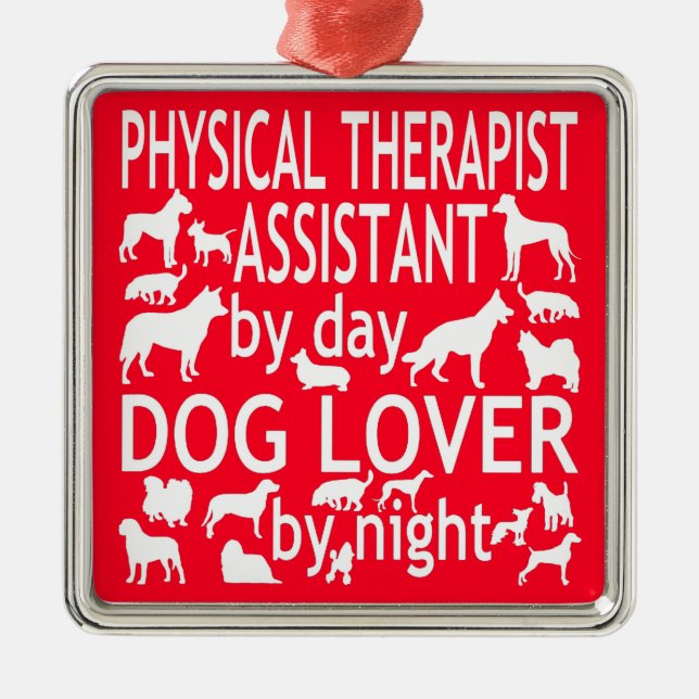Ornement Carré Argenté Physothérapie Assistant Aime Les Chiens (Devant)
