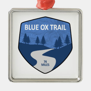 Ornement Carré Argenté Piste Blue Ox