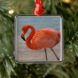 Ornement Carré Argenté Plages tropicales   Flamant rose des Caraïbes, Aru