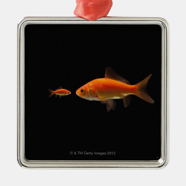 Ornement Carré Argenté Poisson rouge (Devant)