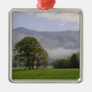 Ornement Carré Argenté Prairie brumeuse et Rich Mountain, Cades Cove,
