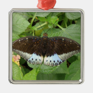 Ornement Carré Argenté Pretty Tropical Butterfly Ornament