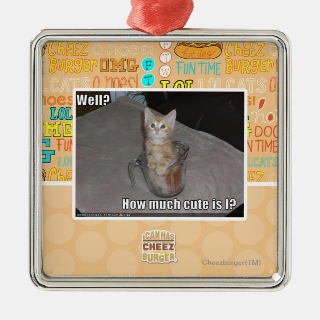 Ornement Carré Argenté Puits ? (Devant)