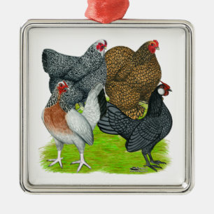 Ornement Carré Argenté Quatuor Bantam Hen