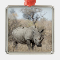 Rhino blanc