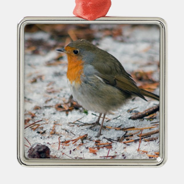 Ornement Carré Argenté Robin Bauble (Devant)