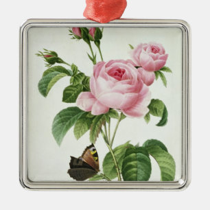 Ornement Carré Argenté Rosa Centifolia