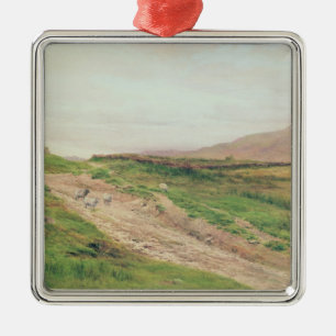 Ornement Carré Argenté Secteur de lac