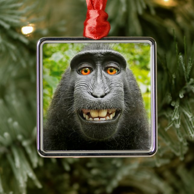 Ornement Carré Argenté Selfie singe (Arbre)