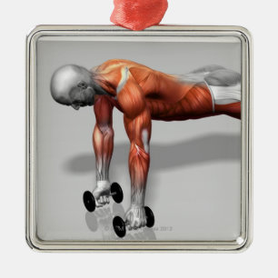 Ornement Carré Argenté Setanta soulèvent