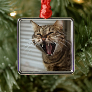 Ornement Carré Argenté Tabby Cat Yawning Portrait Artistique