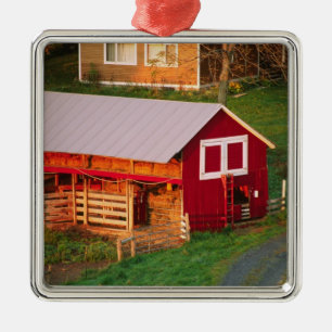 Ornement Carré Argenté Tâches matinales à la ferme. USA, Vermont,