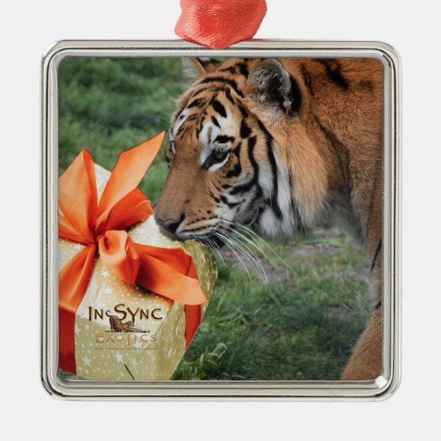 Ornement Carré Argenté Tiger avec cadeau de Noël (Devant)