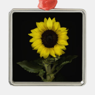 Ornement Carré Argenté Tournesol 11
