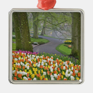 Ornement Carré Argenté Tulipes et route, Jardins de Keukenhof, Lisse,