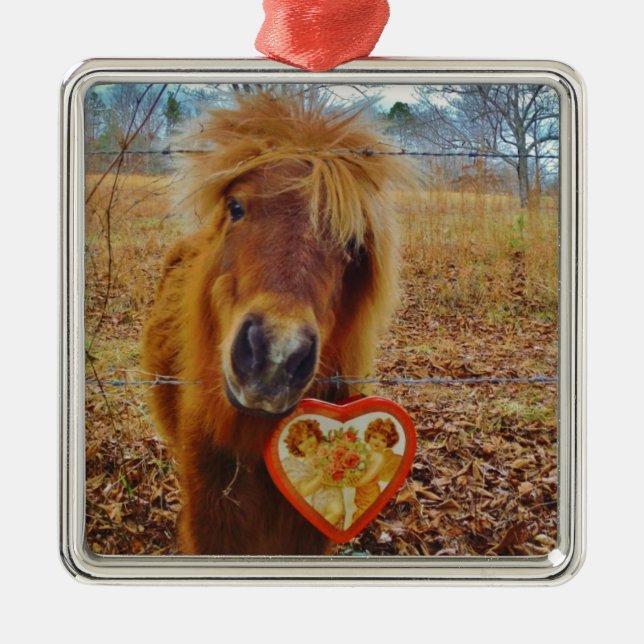 Ornement Carré Argenté Valentine Heart Miniature Brown Horse (Devant)