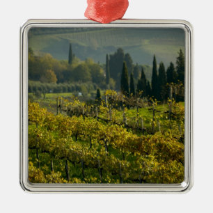 Ornement Carré Argenté Vignoble, Toscane, Italie