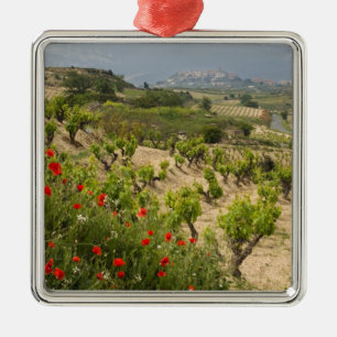 Ornement Carré Argenté Vignobles près de Laguardia, capitale de La Rioja