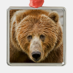 Ornement Carré Argenté Visage de l'ours de Kodiak - Alaska sauvage