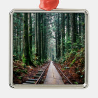 Voies de train dans la forêt