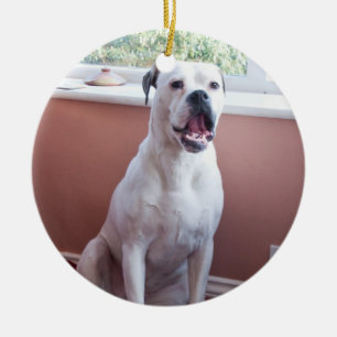 Ornement : Chien blanc de boxeur
