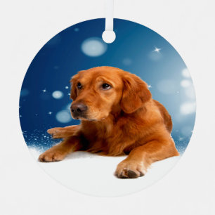 Ornement Chien mignon de golden retriever se reposant en