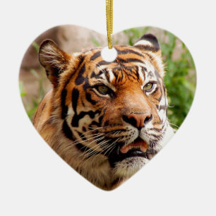 Ornement Cœur En Céramique Beau visage de tigre