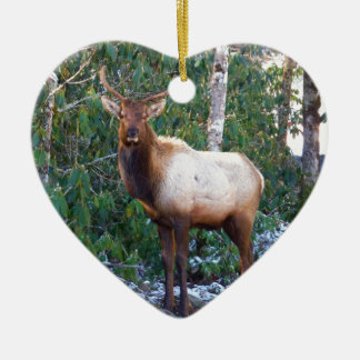 Ornement Cœur En Céramique Bull Elk à Rhododendrons