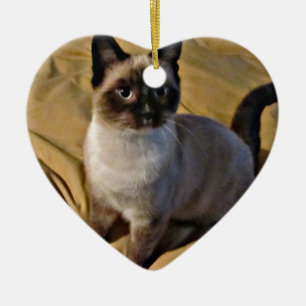 Ornement Cœur En Céramique Cadeaux de chaton de raquette