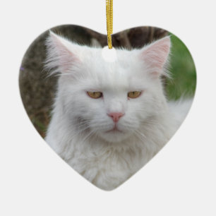 Ornement Cœur En Céramique Chat blanc grave