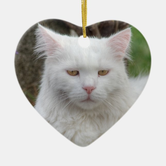 Ornement Cœur En Céramique Chat blanc grave (Devant)
