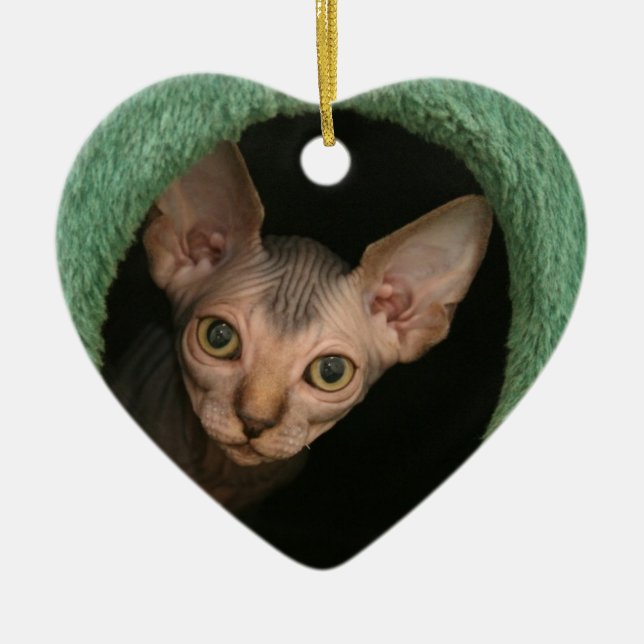 Ornement Cœur En Céramique Chaton mignon de sphynx (Devant)