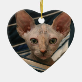 Ornement Cœur En Céramique Chaton mignon de sphynx de curiosités